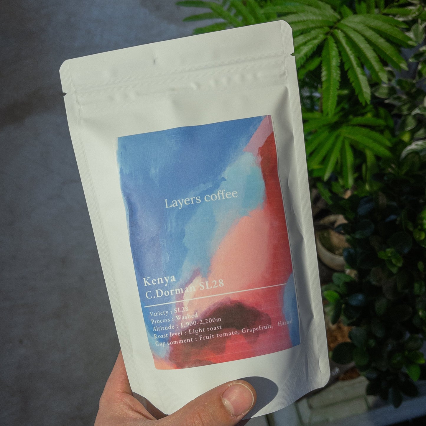 ケニア / C.ドーマン SL28 / 150g