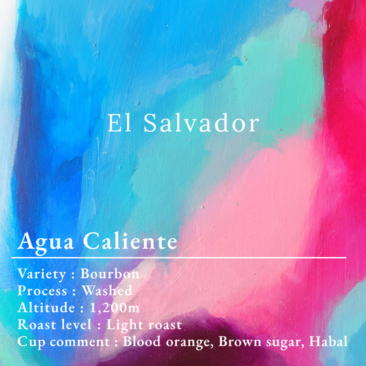 エルサルバドル / アグア カリエンテ農園 / 150g